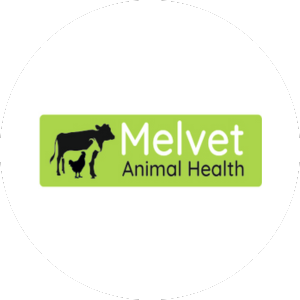MELVET