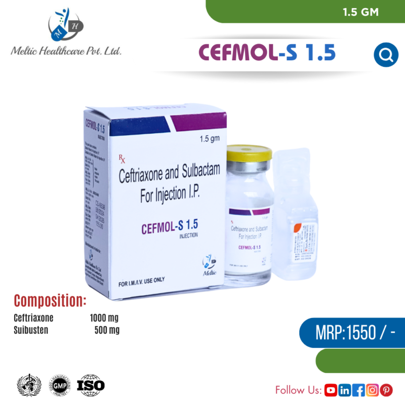 CEFMOL-S 1.5