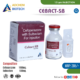 CEBACT-SB