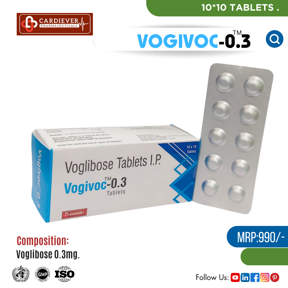VOGIVOC-0.3