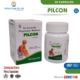 PILCON