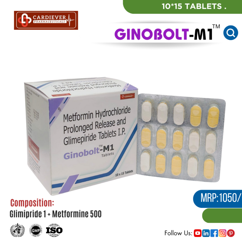 GINOBOLT-M1