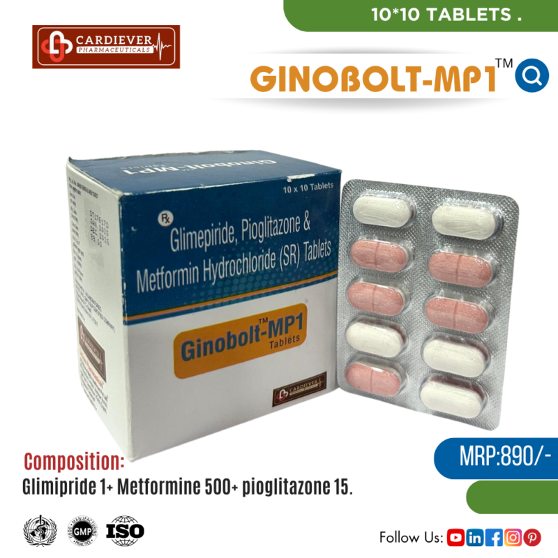 GINOBOLT-MP1