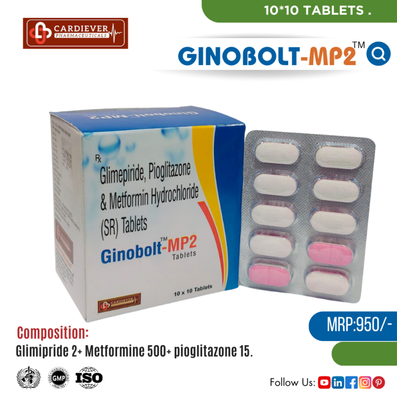 GINOBOLT-MP2