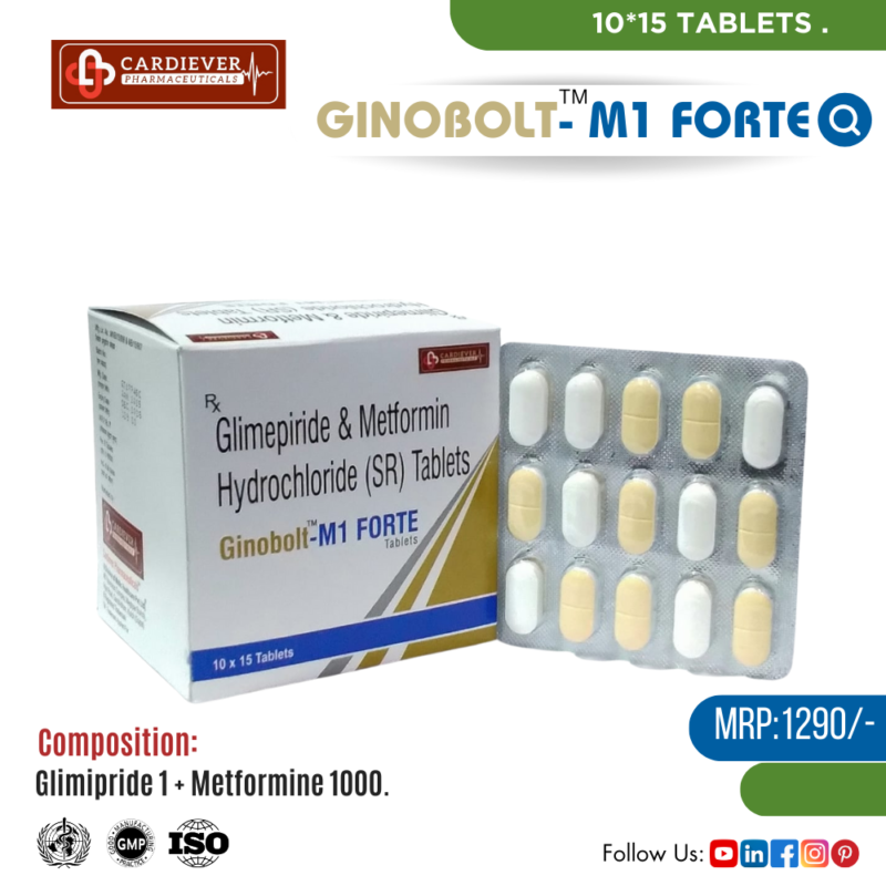 GINOBOLT-M1 FORTE