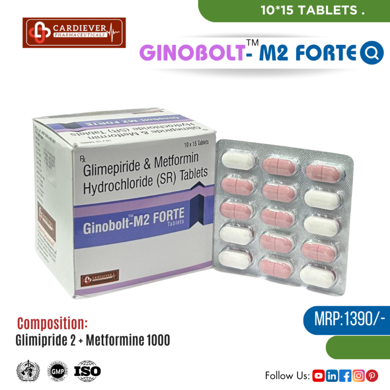 GINOBOLT-M2 FORTE
