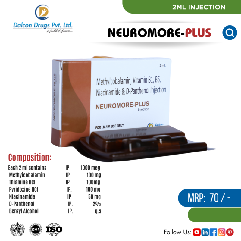 NEUROMORE-PLUS