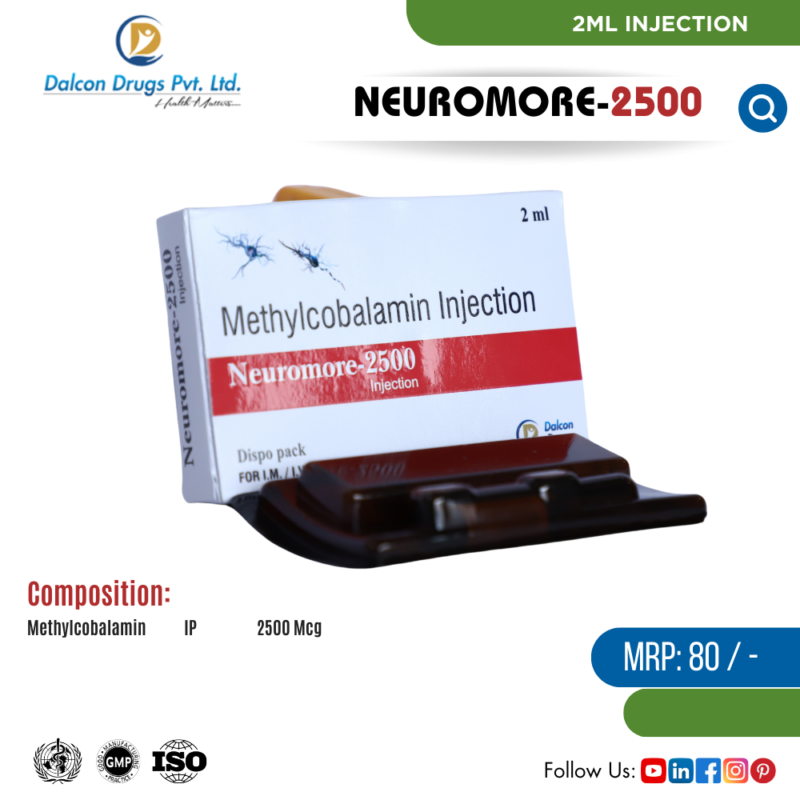 NEUROMORE-2500